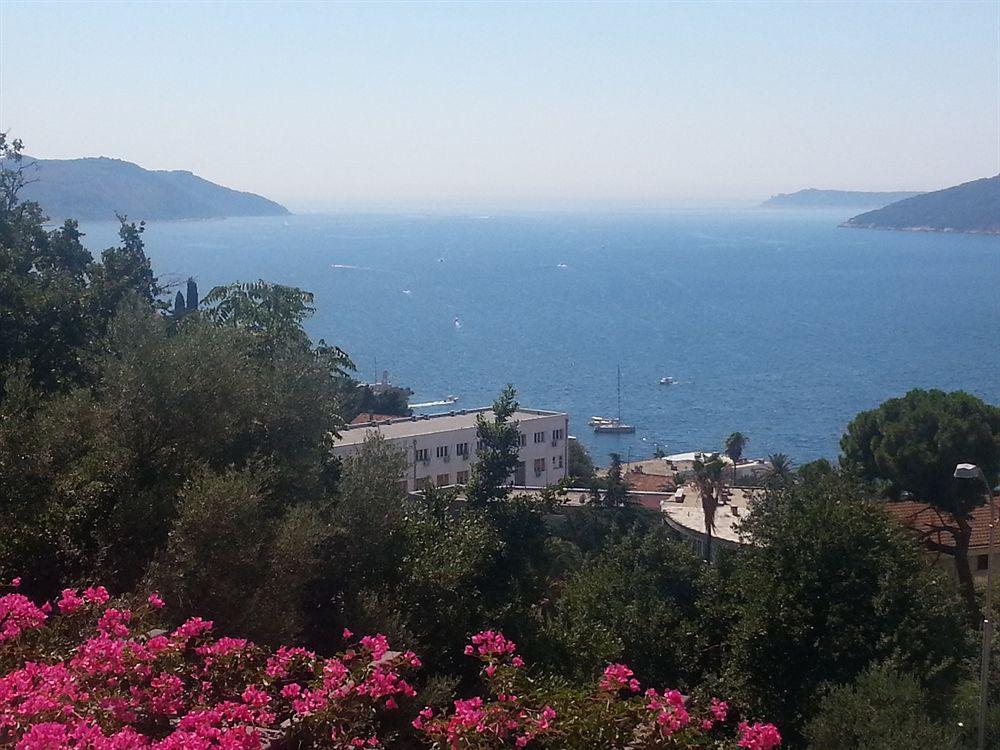 Apartments Herceg Novi Esterno foto