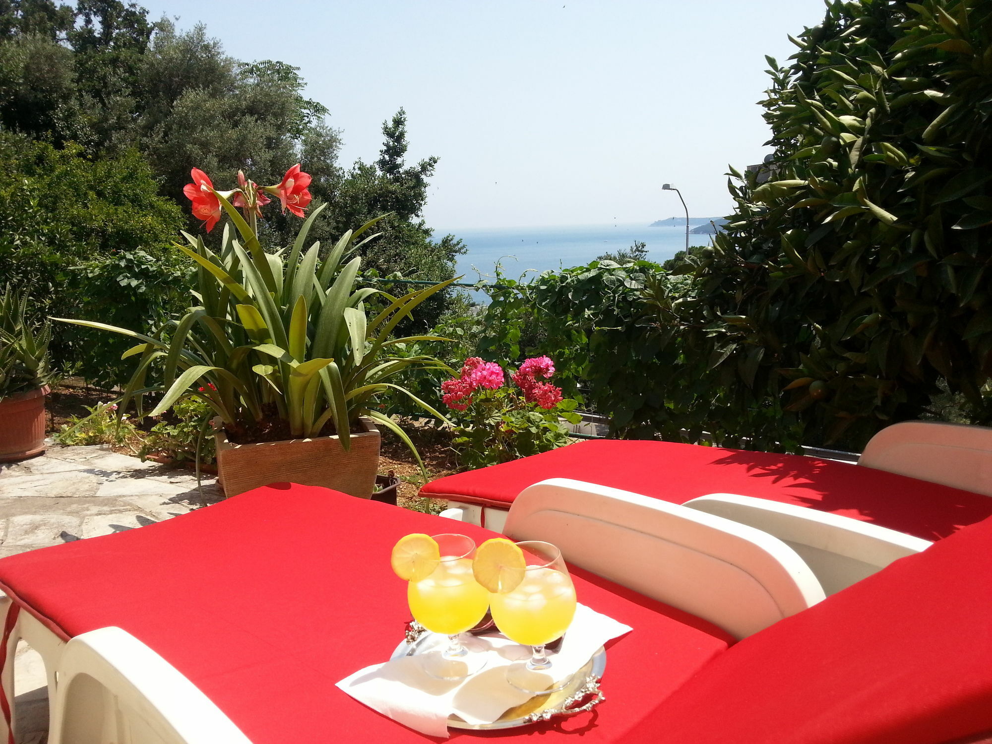 Apartments Herceg Novi Esterno foto